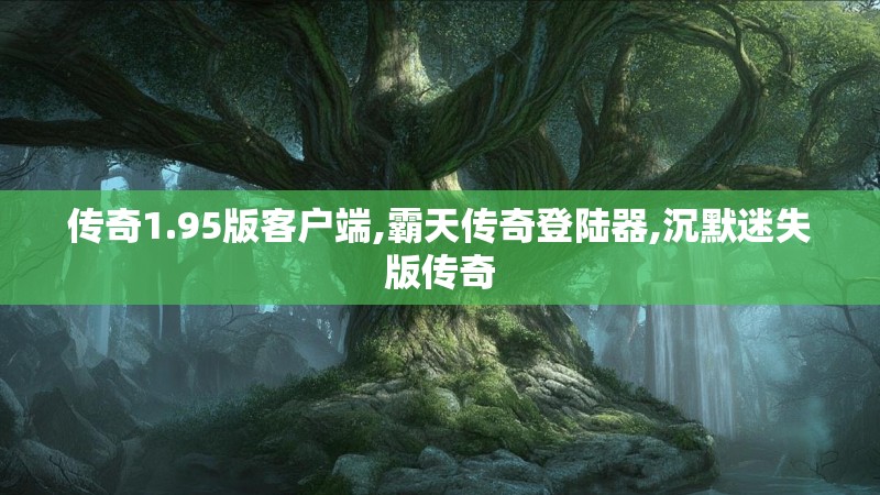 传奇1.95版客户端,霸天传奇登陆器,沉默迷失版传奇