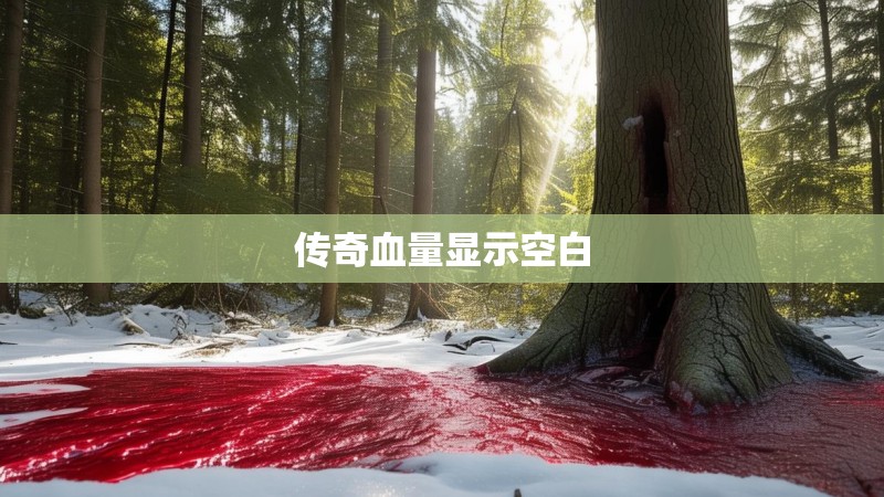 传奇血量显示空白