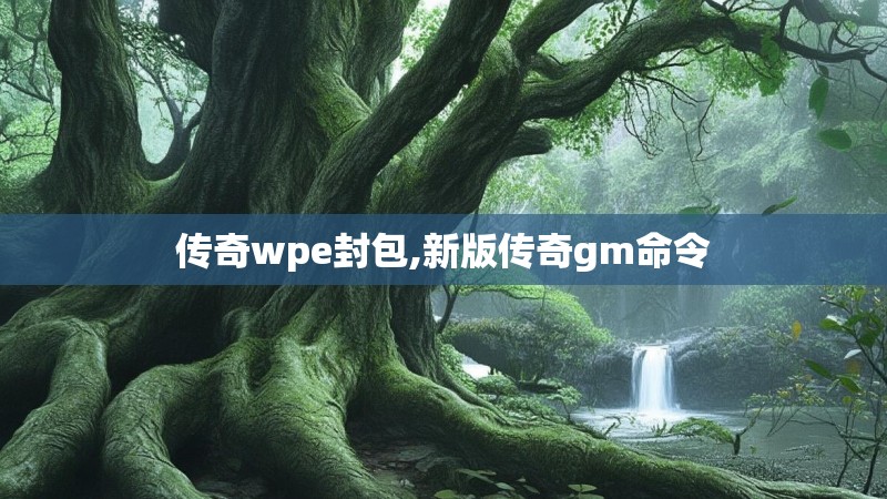 传奇wpe封包,新版传奇gm命令