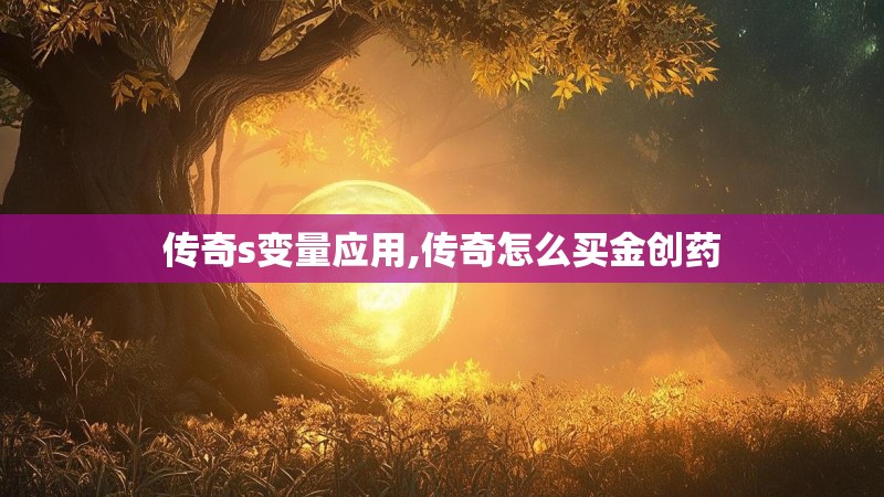 传奇s变量应用,传奇怎么买金创药