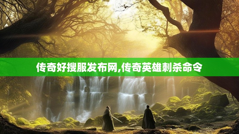 传奇好搜服发布网,传奇英雄刺杀命令