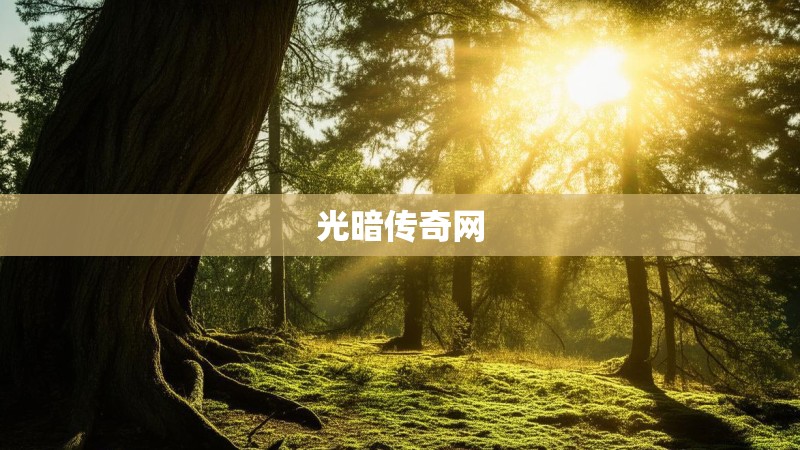 光暗传奇网