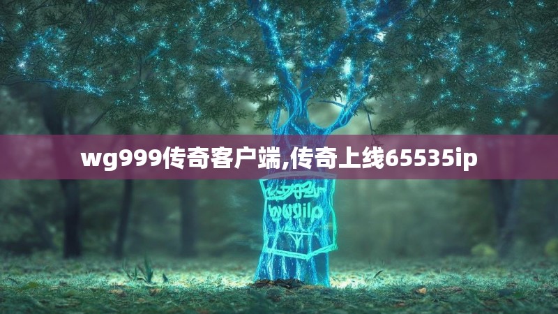 wg999传奇客户端,传奇上线65535ip