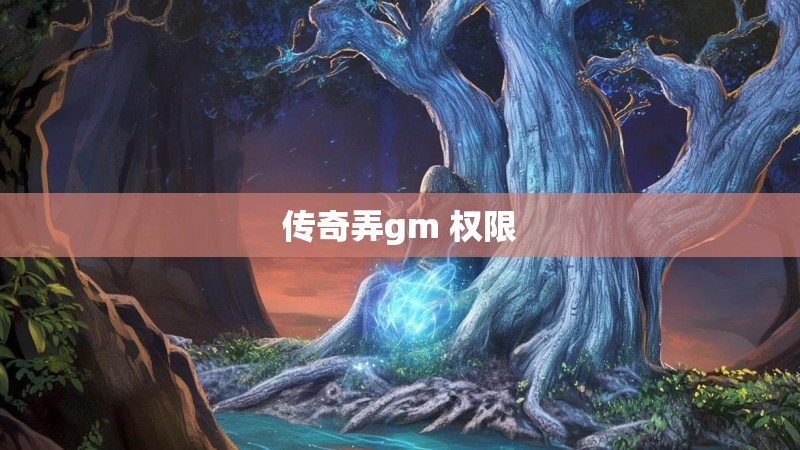 传奇弄gm 权限