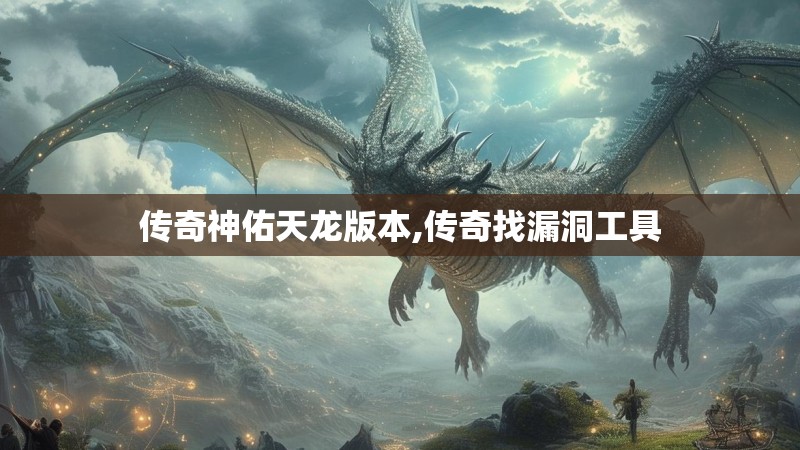 传奇神佑天龙版本,传奇找漏洞工具