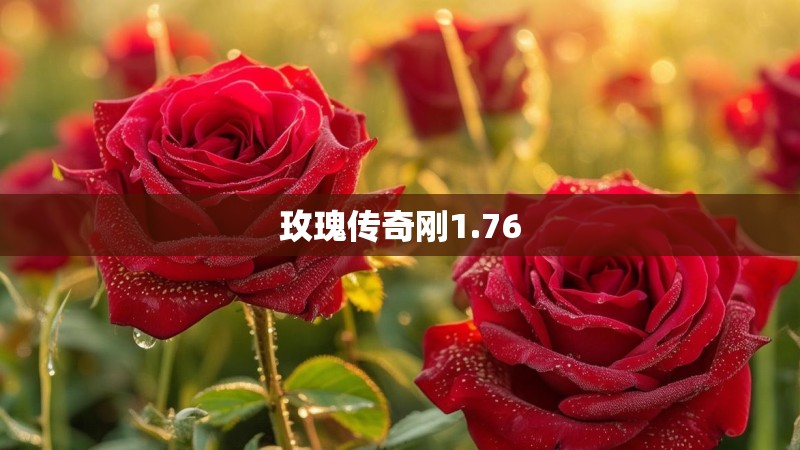 玫瑰传奇刚1.76