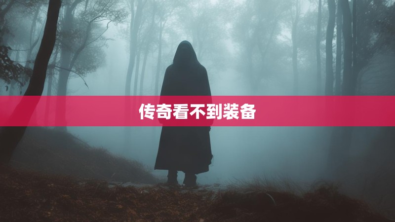 传奇看不到装备