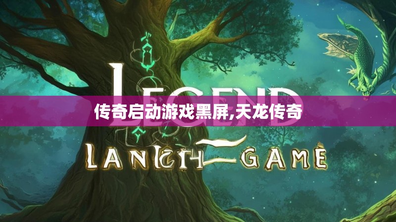 传奇启动游戏黑屏,天龙传奇