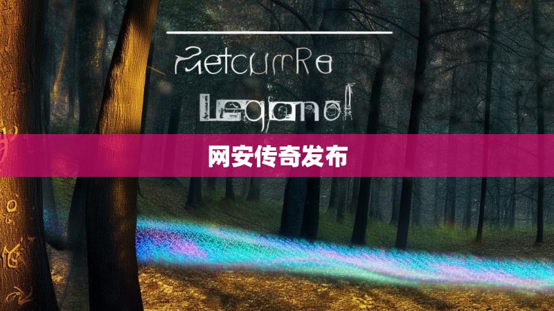 网安传奇发布