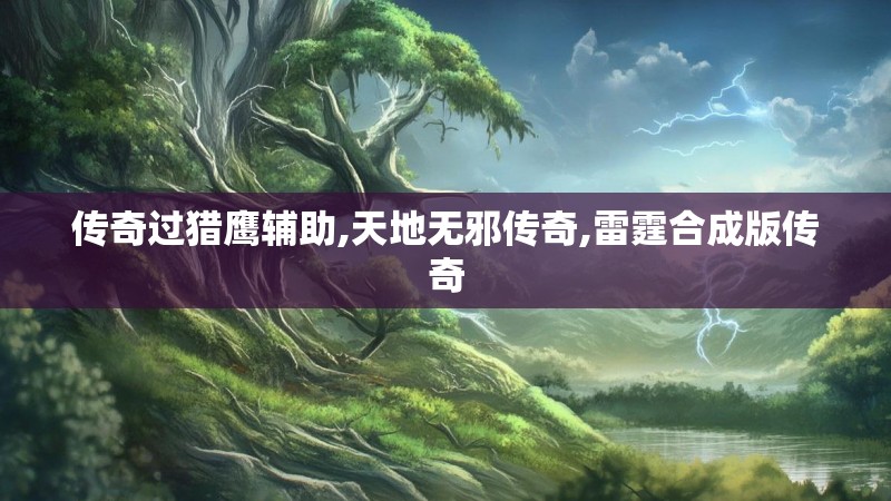 传奇过猎鹰辅助,天地无邪传奇,雷霆合成版传奇