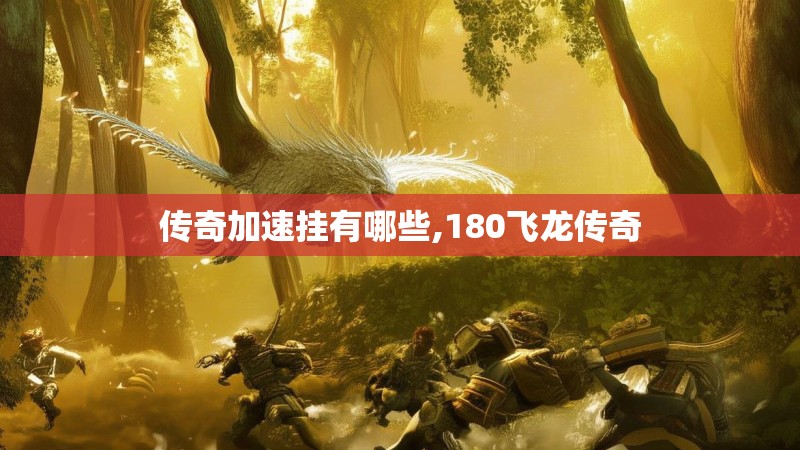 传奇加速挂有哪些,180飞龙传奇