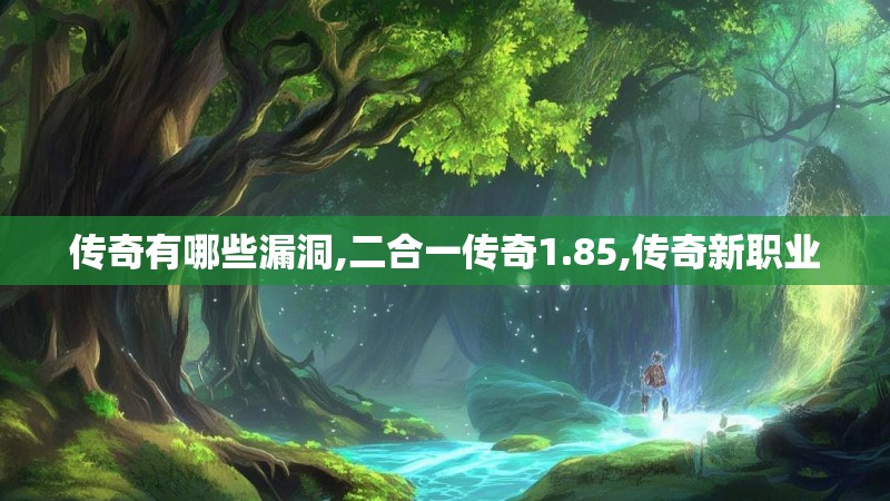 传奇有哪些漏洞,二合一传奇1.85,传奇新职业