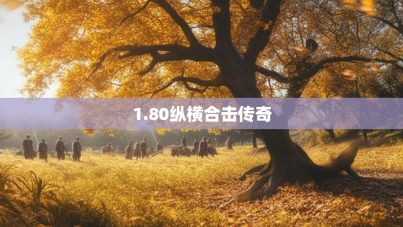 1.80纵横合击传奇