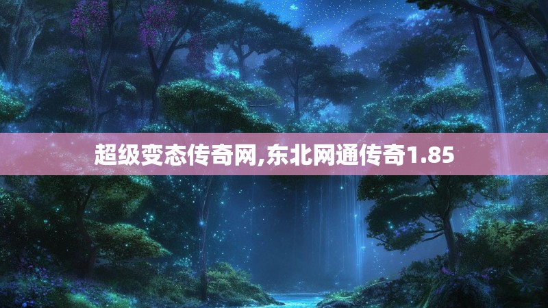 超级变态传奇网,东北网通传奇1.85