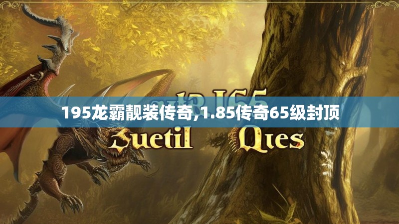 195龙霸靓装传奇,1.85传奇65级封顶