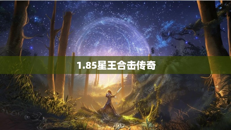 1.85星王合击传奇