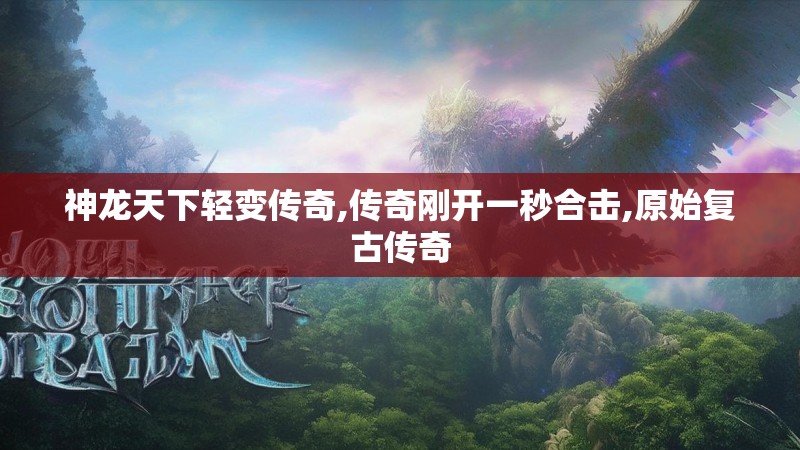 神龙天下轻变传奇,传奇刚开一秒合击,原始复古传奇