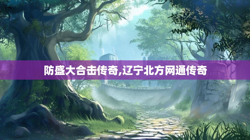 防盛大合击传奇,辽宁北方网通传奇