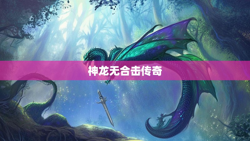神龙无合击传奇