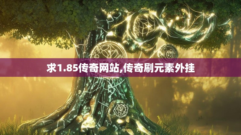 求1.85传奇网站,传奇刷元素外挂