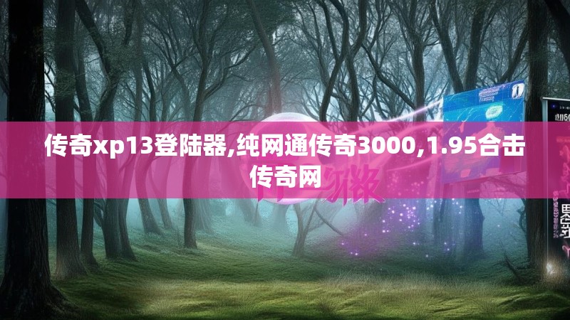 传奇xp13登陆器,纯网通传奇3000,1.95合击传奇网