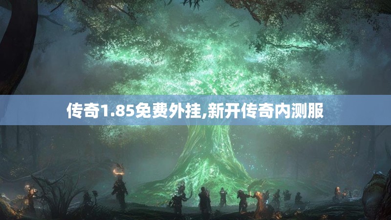 传奇1.85免费外挂,新开传奇内测服