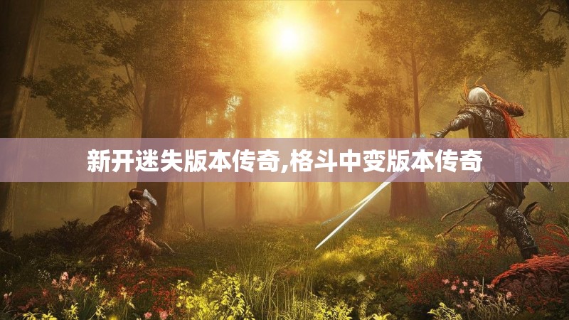 新开迷失版本传奇,格斗中变版本传奇