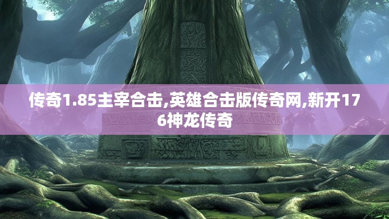 传奇1.85主宰合击,英雄合击版传奇网,新开176神龙传奇