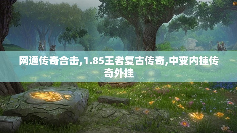 网通传奇合击,1.85王者复古传奇,中变内挂传奇外挂