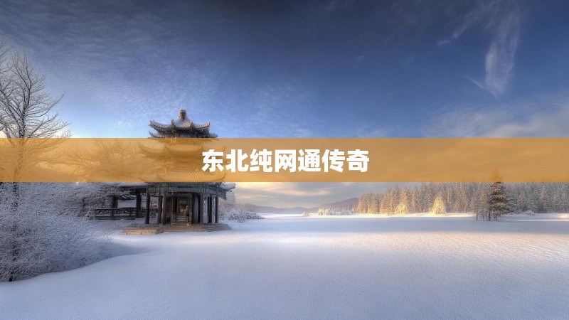 东北纯网通传奇
