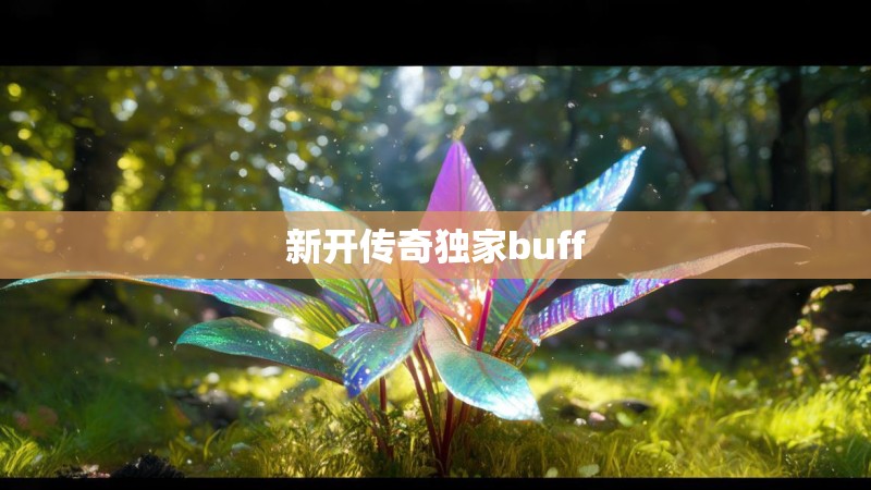 新开传奇独家buff
