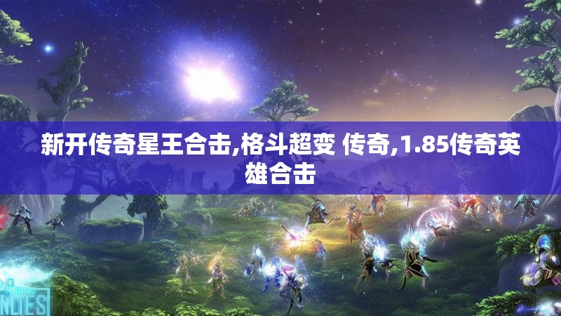 新开传奇星王合击,格斗超变 传奇,1.85传奇英雄合击