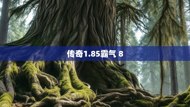 传奇1.85霸气 8