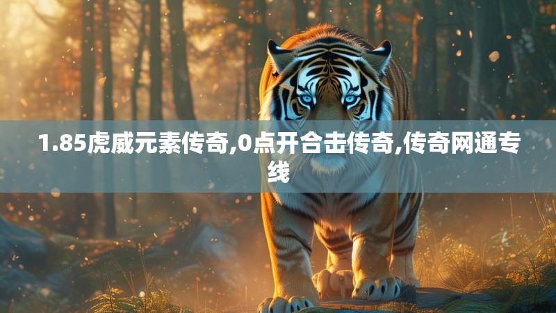1.85虎威元素传奇,0点开合击传奇,传奇网通专线