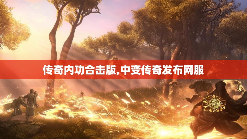 传奇内功合击版,中变传奇发布网服