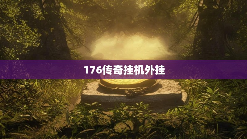 176传奇挂机外挂