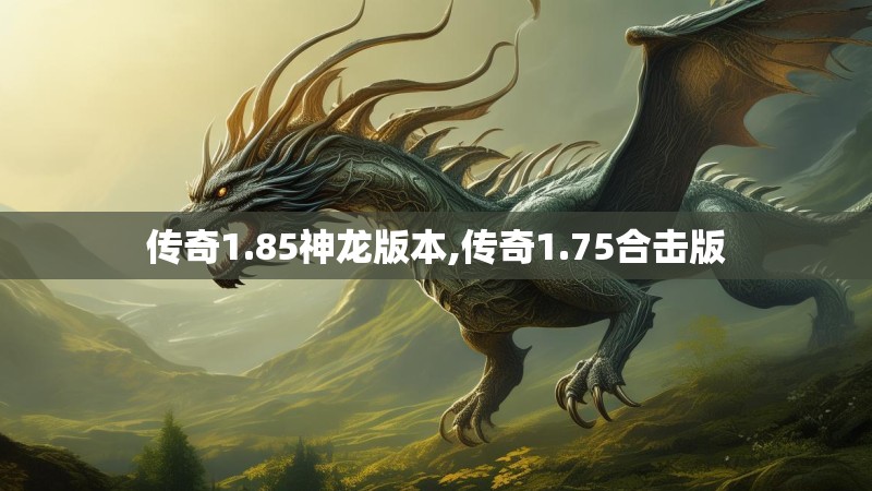 传奇1.85神龙版本,传奇1.75合击版