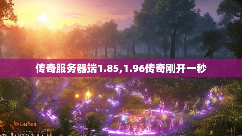 传奇服务器端1.85,1.96传奇刚开一秒