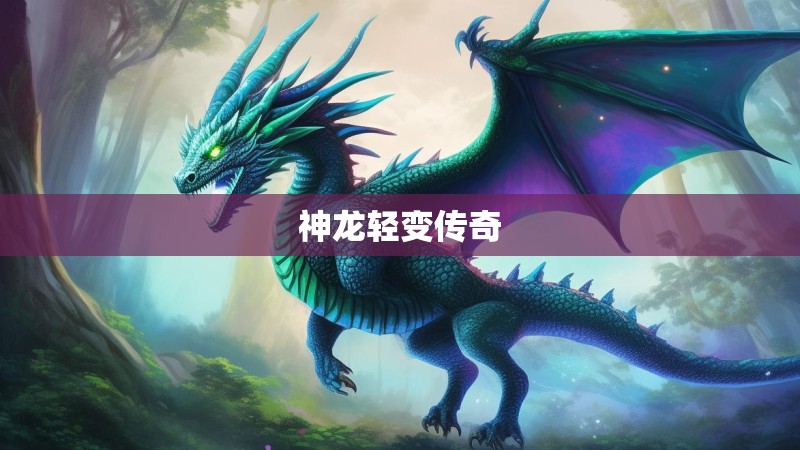 神龙轻变传奇 神龙轻变传奇