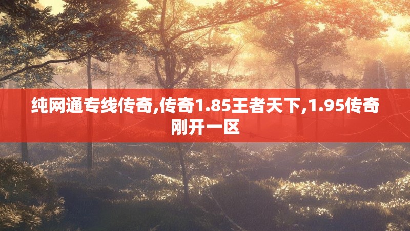 纯网通专线传奇,传奇1.85王者天下,1.95传奇刚开一区 纯网通专线传奇,传奇1.85王者天下,1.95传奇刚开一区