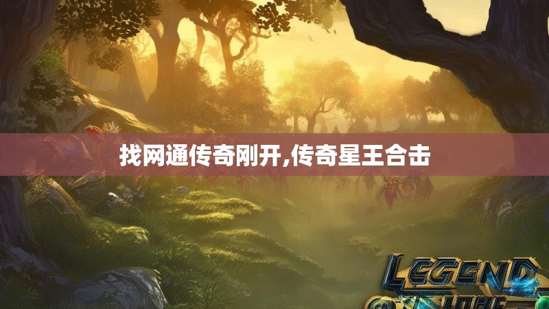 找网通传奇刚开,传奇星王合击 找网通传奇刚开,传奇星王合击