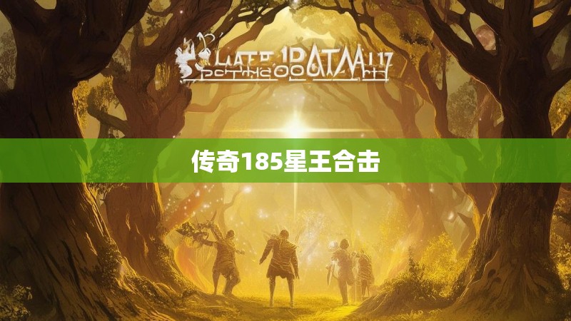 传奇185星王合击