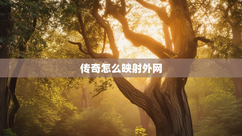 传奇怎么映射外网