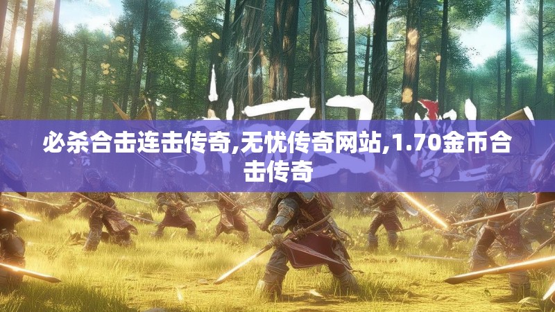 必杀合击连击传奇,无忧传奇网站,1.70金币合击传奇