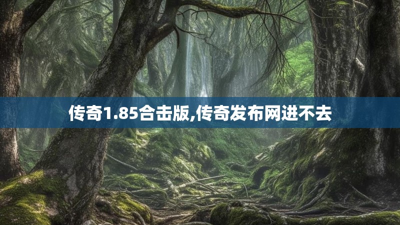 传奇1.85合击版,传奇发布网进不去 传奇1.85合击版,传奇发布网进不去