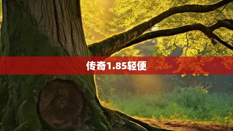 传奇1.85轻便
