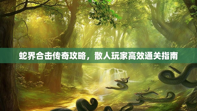 蛇界合击传奇攻略，散人玩家高效通关指南