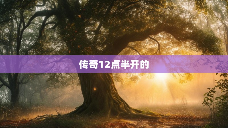 传奇12点半开的 传奇12点半开的