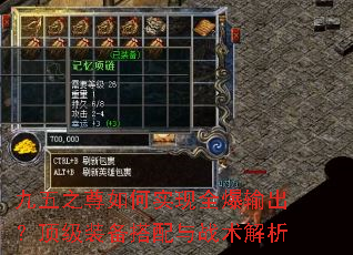 九五之尊如何实现全爆输出？顶级装备搭配与战术解析