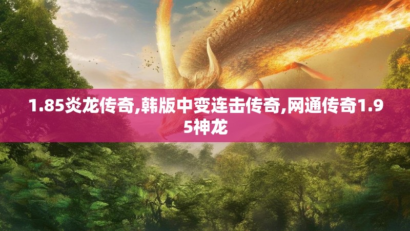 1.85炎龙传奇,韩版中变连击传奇,网通传奇1.95神龙